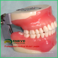 DENTAL26 (12608) Modelos Práticos Abrangentes de Cirurgia Dentária